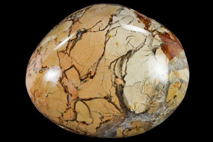 1.5 to 2" Polished Ibis Jasper Pebble - Photo 1